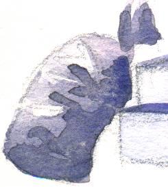 Aquarelle de poubelle (fragment)