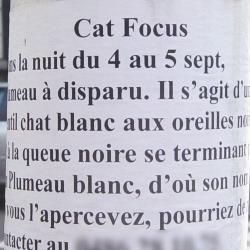 Avis de recherche d'un chat, avec sa description, malencontreusement titres: «Cat focus». Comme si c'était aussi important que les avis de disparition d'enfants! Par charité, le numéro de téléphone du propriétaire a été flouté»